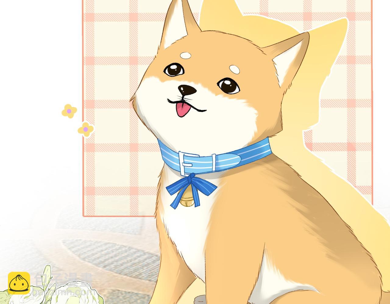 第63话 猫狗双全(1/3)-第100话