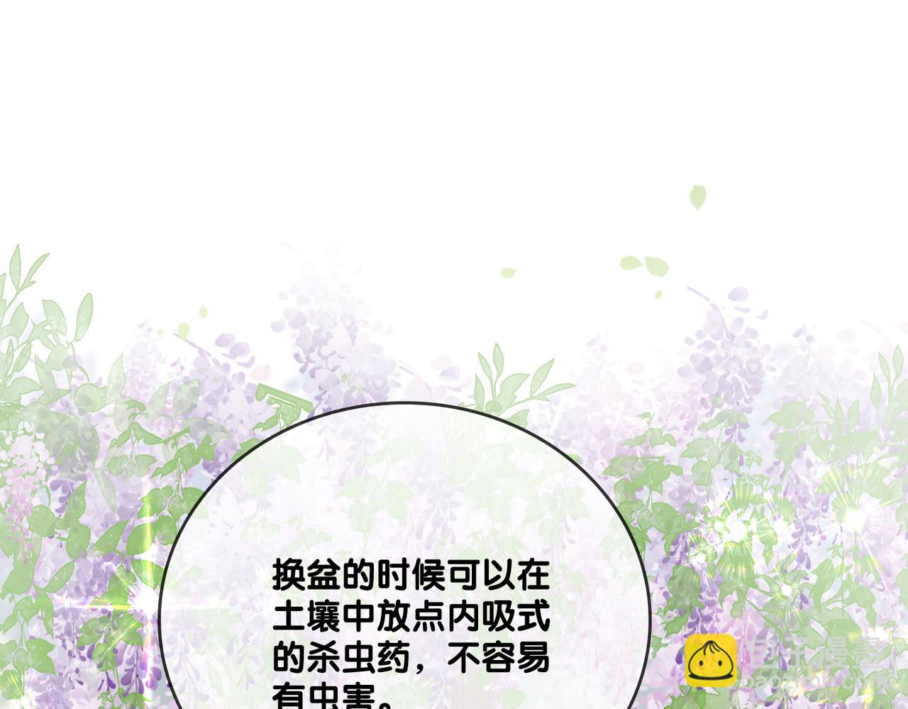 第65话 吃醋的嘴硬兔兔(1/3)-第102话