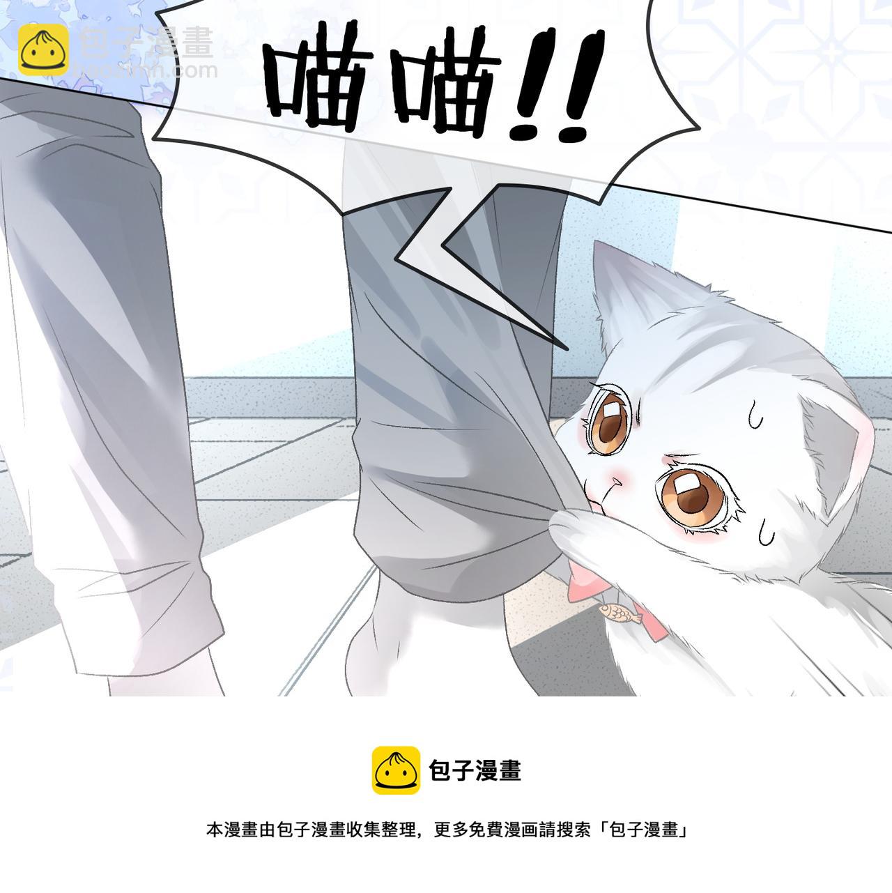 第11话 兔兔生病了？！(1/3)-第48话