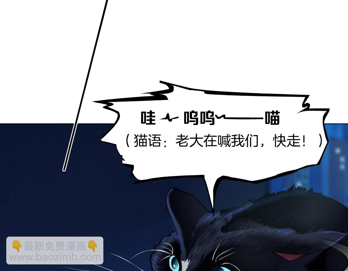 🍣藤女 129【决战篇】猫语者 第47页