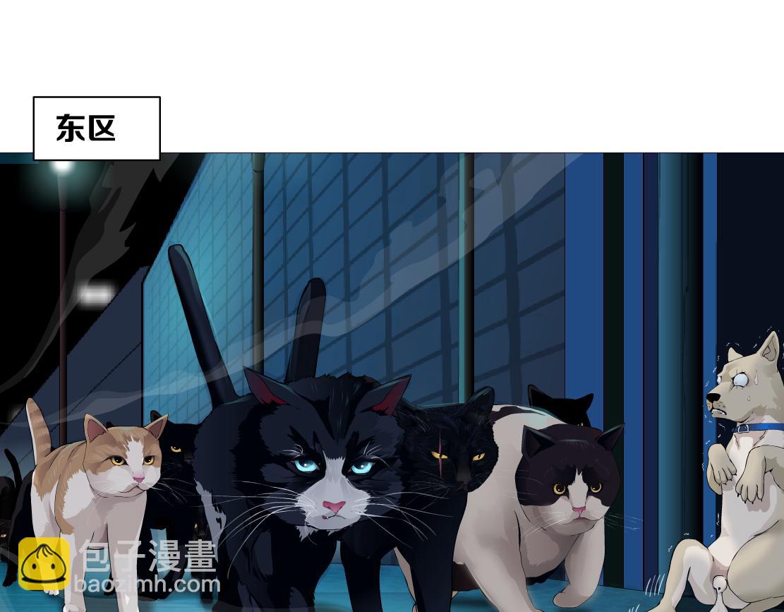 🍣藤女 129【决战篇】猫语者 第49页