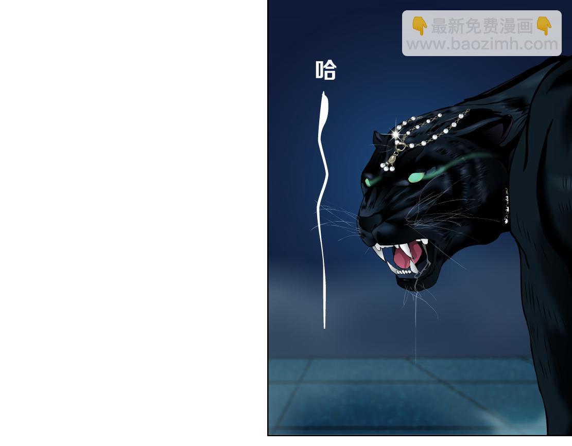🍣藤女 129【决战篇】猫语者 第7页