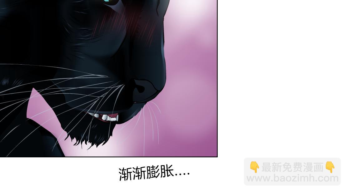🍣藤女 145【决战篇】乌斯曼得逞了 第43页