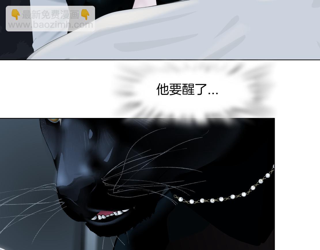 🍣藤女 147【决战篇】乌斯曼变人 第44页