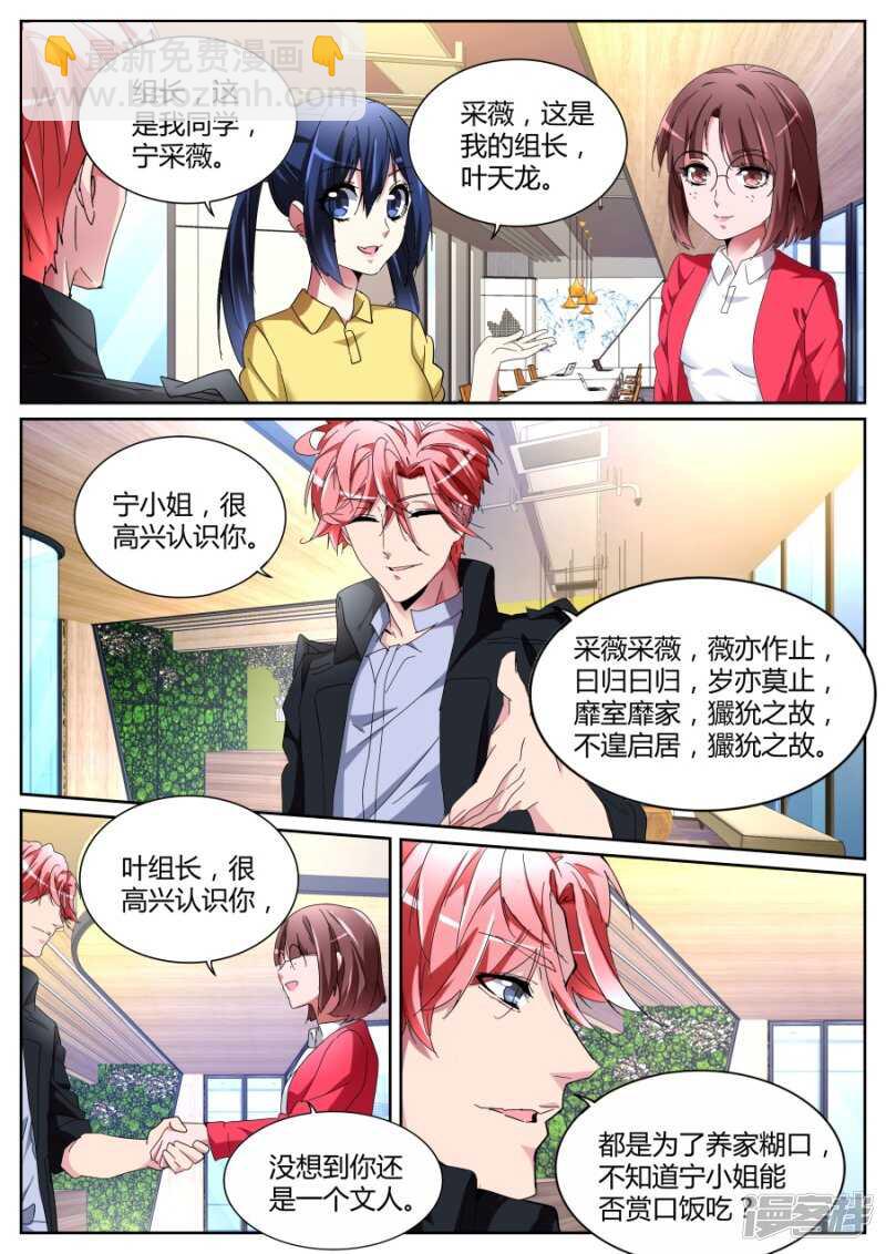 🍣天才高手 彪悍紫衣 第11页