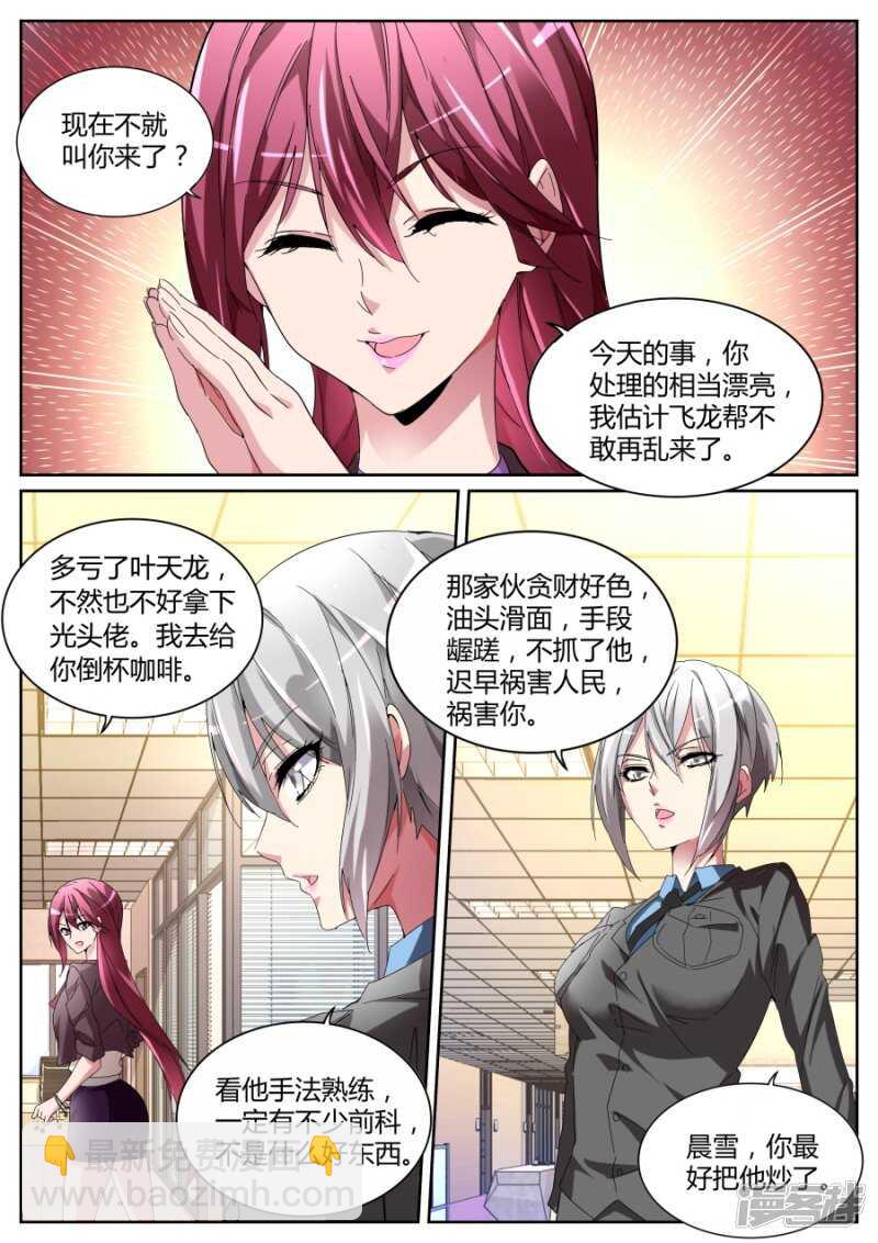 🍣天才高手 彪悍紫衣 第3页