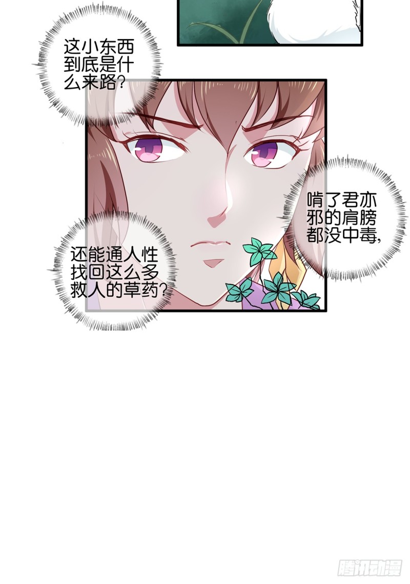 第190话 搜捕秦王妃！-第190话