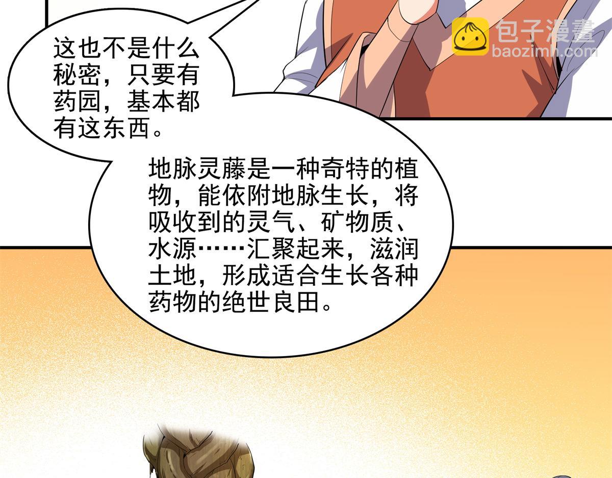 第293话 地脉灵藤(1/2)-第298话