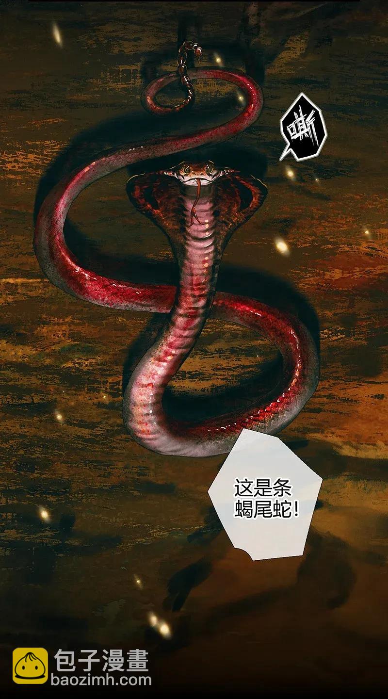 035 将军墓冢 贰-第36话