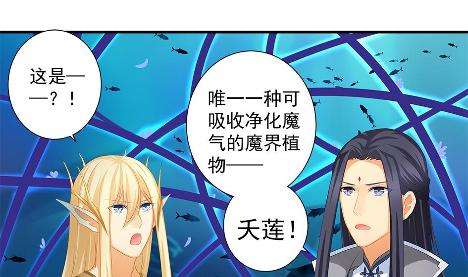 第167劫 控制-第164话