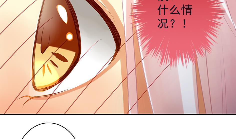 第067劫 战！ 1-第64话