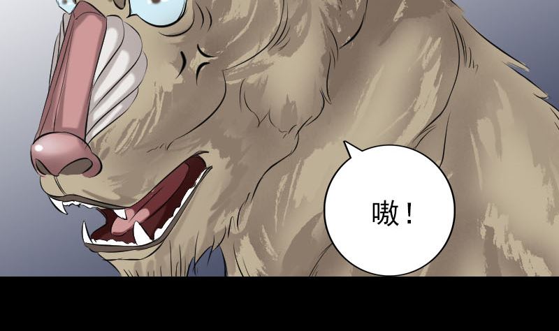 🍣天降横祸 第157话 寒冷的元凶 第11页