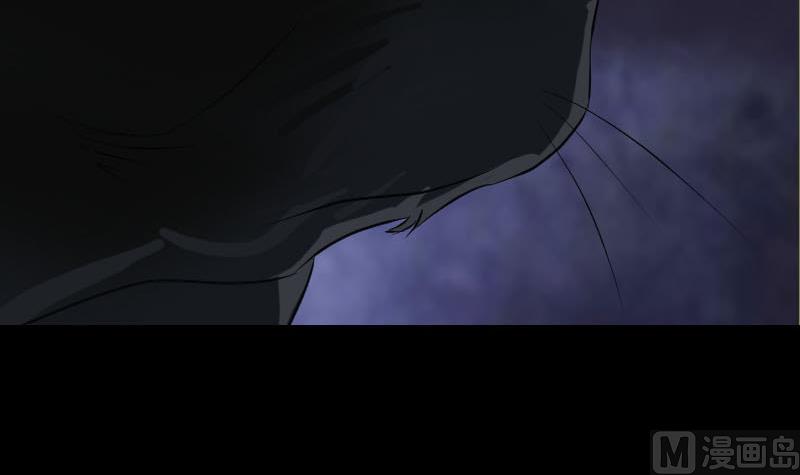 🍣天降横祸 第77话 取你狗命 第18页