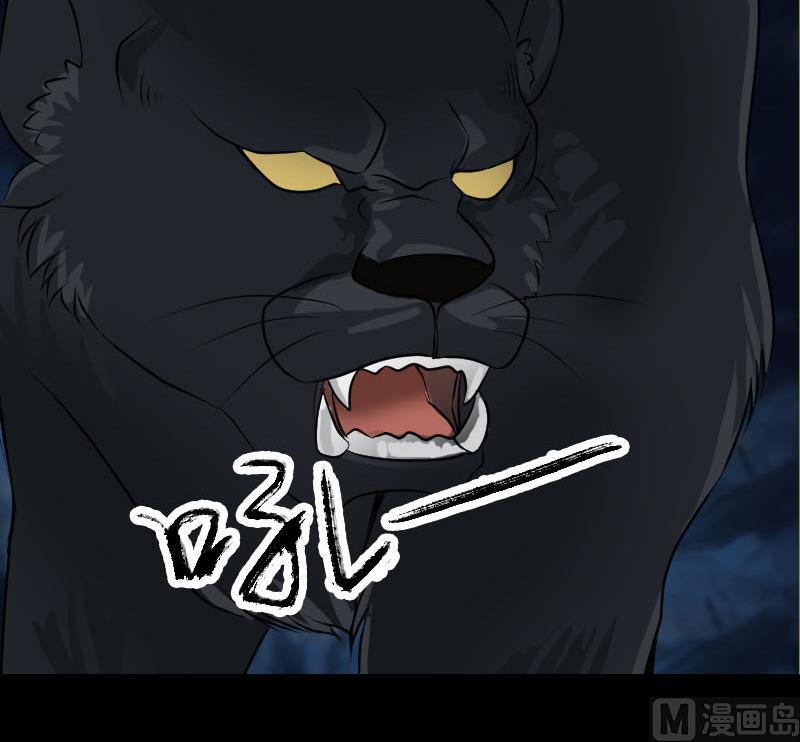 🍣天降横祸 第77话 取你狗命 第21页