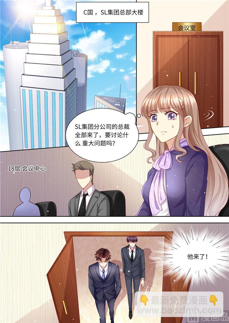 🍣天价宠妻 总裁夫人休想逃 第224话 大胆的计划 第13页