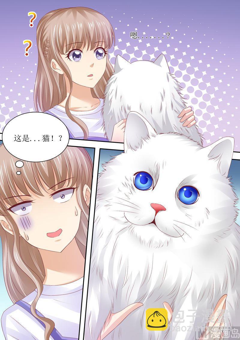🍣天价宠妻 总裁夫人休想逃 第72话 没有爱的婚姻 第8页