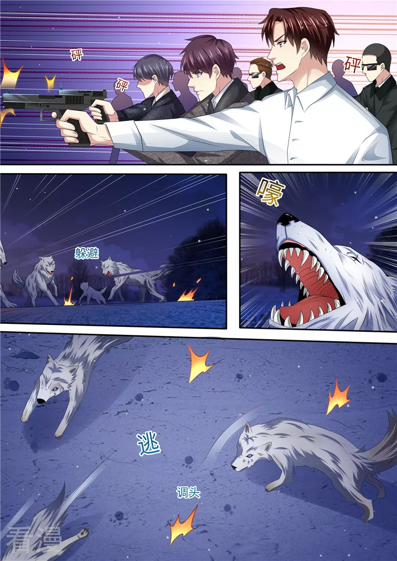 第307话 可靠战友-第308话