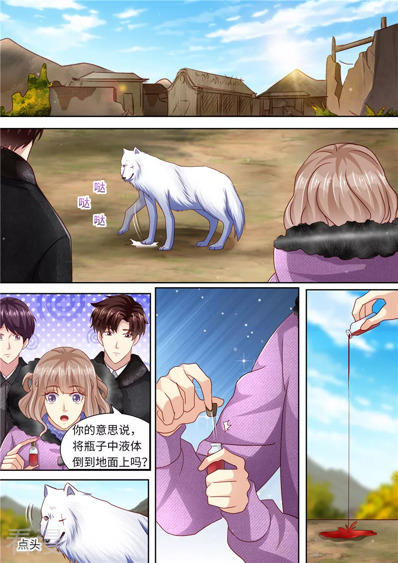 第325话 谢谢你，北极狼-第326话
