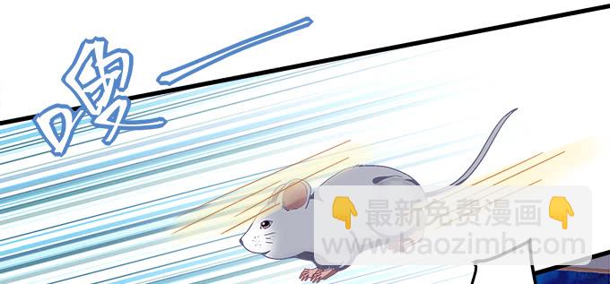 174话 蓝逸辰怕老鼠？(1/3)-第176话