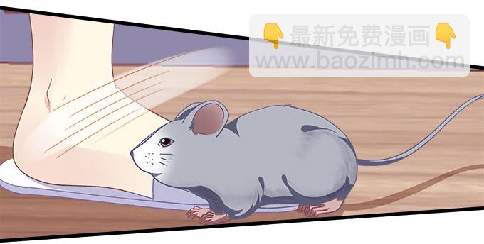 174话 蓝逸辰怕老鼠？(1/3)-第176话
