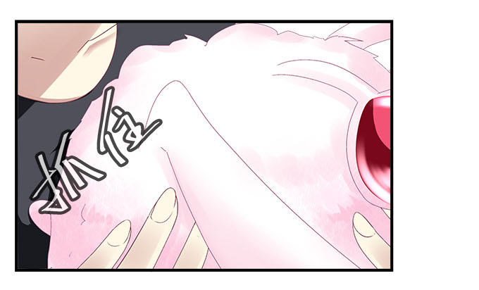 36话 如此耀眼(1/2)-第36话