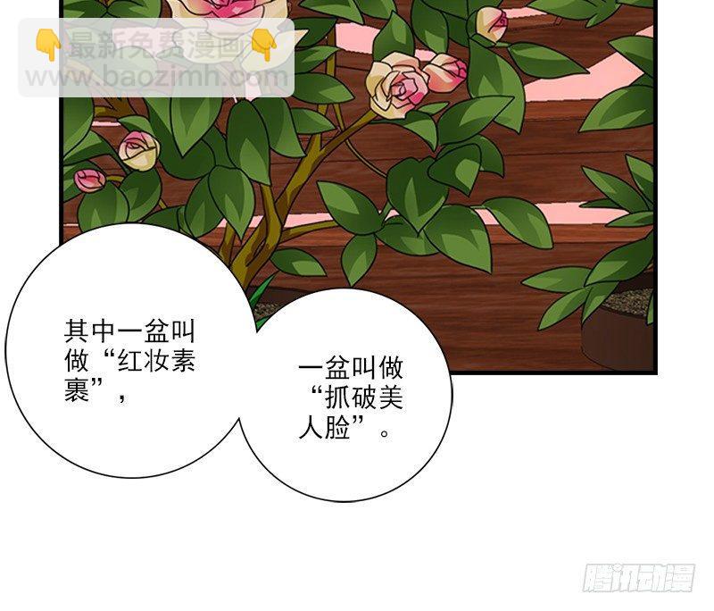 🍣天龙八部 第71话 王语嫣 第31页