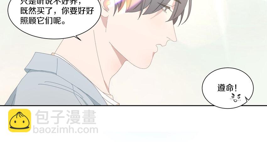005 两条金鱼(1/2)-第6话