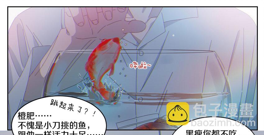 009 橙肥黑瘦(1/2)-第10话