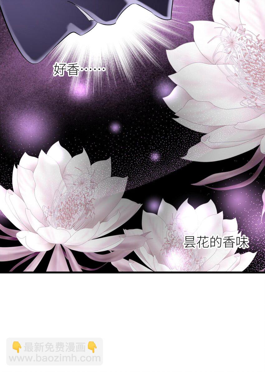 51 祸水(1/2)-第54话