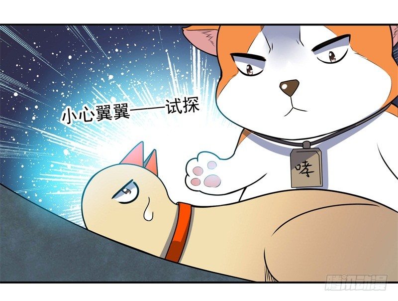 010 是条好狗-第12话
