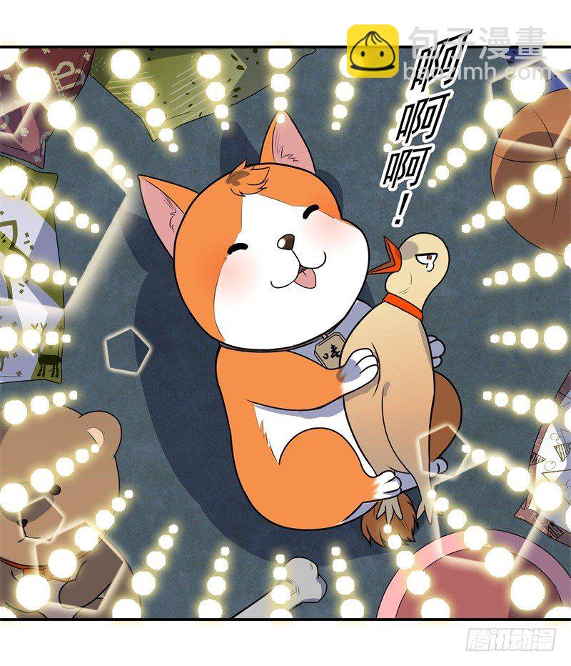 010 是条好狗-第12话