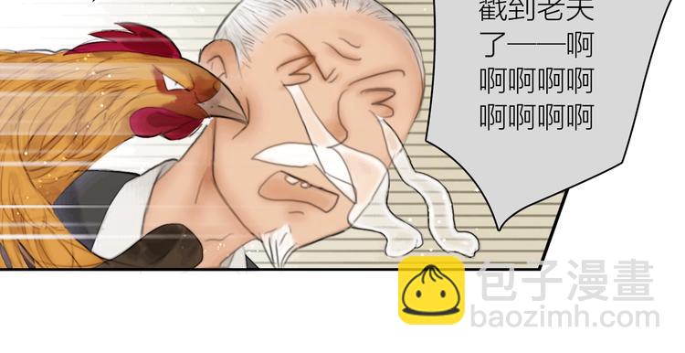 第3话 各种鸡飞狗跳(1/2)-第4话