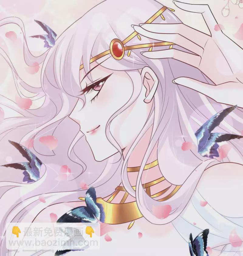 第216话 今夜只有你和我-第216话