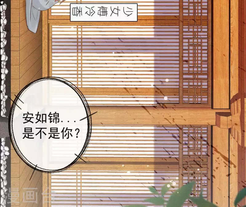 第110话 安如锦的反击(1/2)-第110话