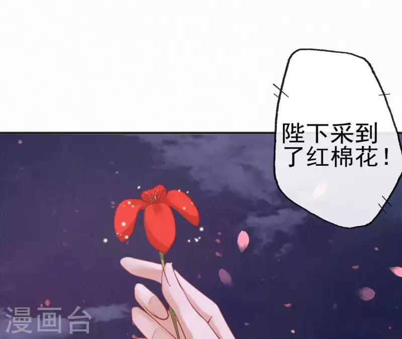 第40话 红棉花(1/2)-第40话
