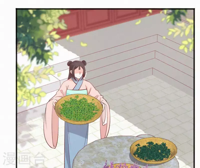 第66话 期望的恩宠(1/2)-第66话