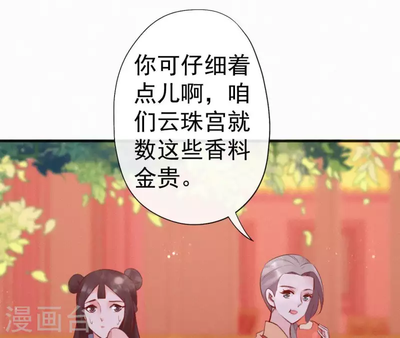 第66话 期望的恩宠(1/2)-第66话