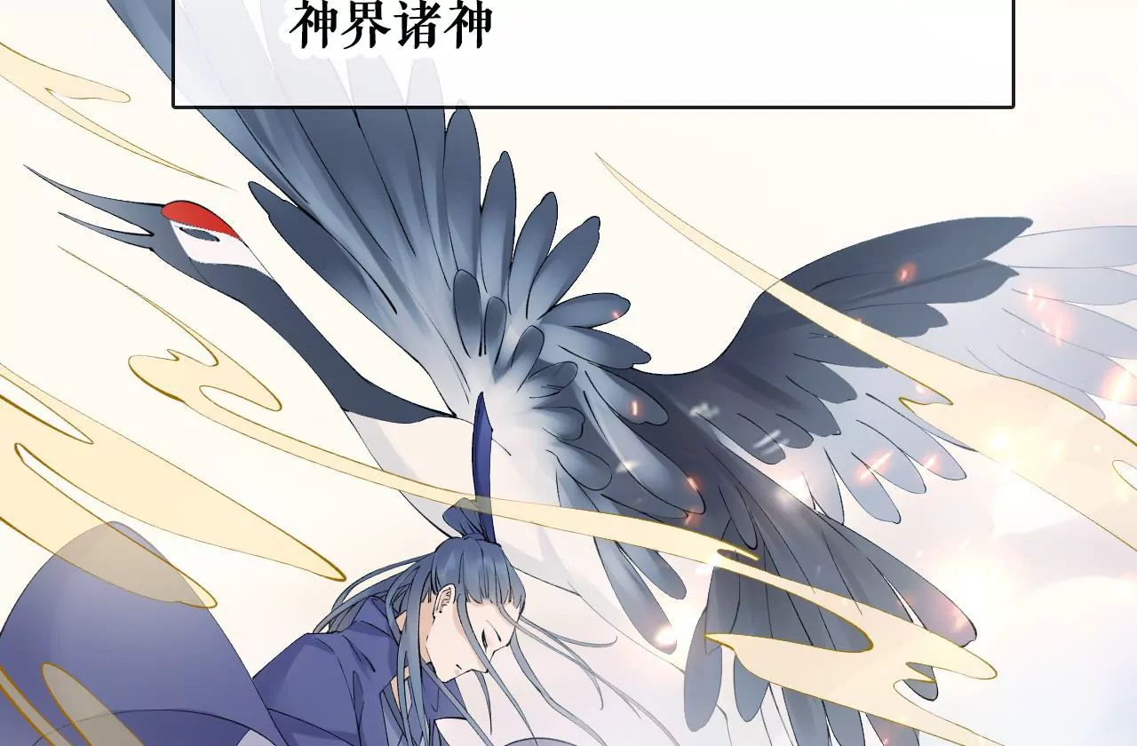 🍣天下无双 预告话 第12页