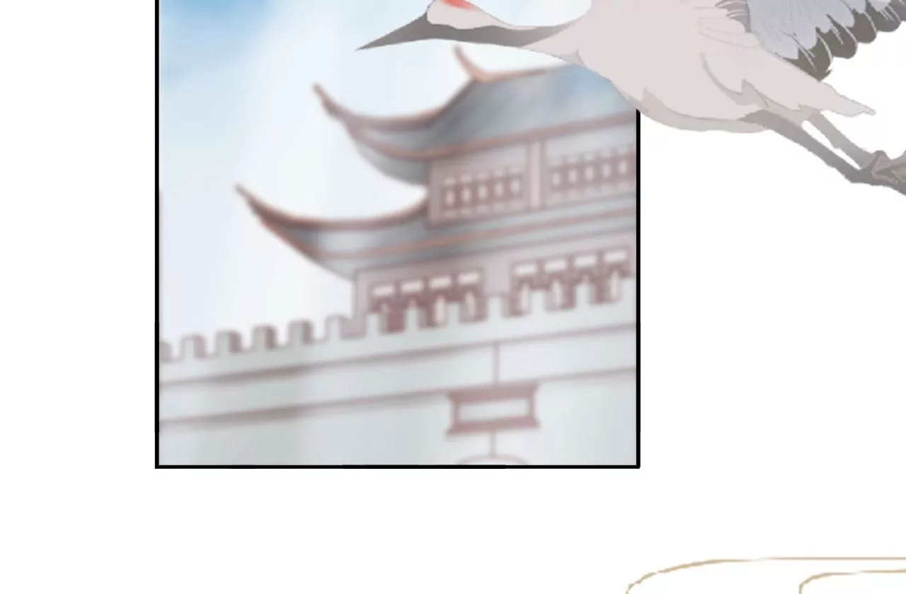 🍣天下无双 第54话 偷袭 第13页