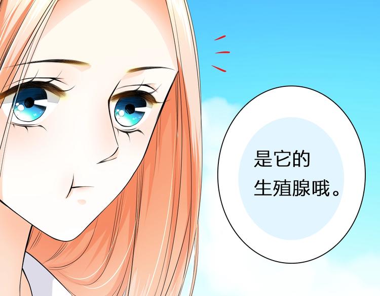 第34话 星空下的疑问(1/2)-第34话
