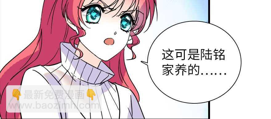 第196话 岳国新君的求婚(1/3)-第196话
