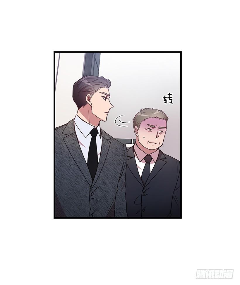 兄弟情义(1/2)-第54话