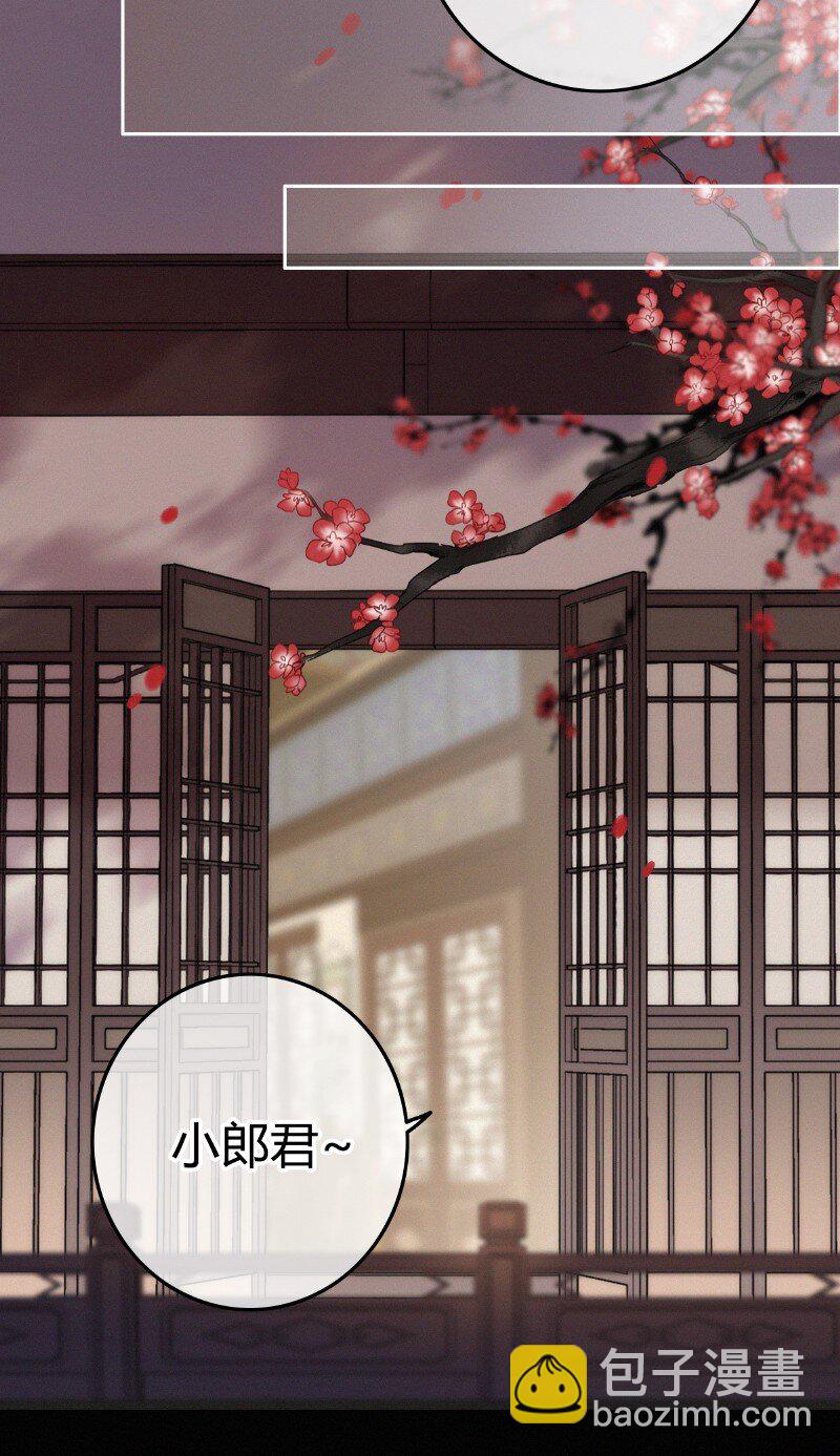 041 公子他是我的人-第40话