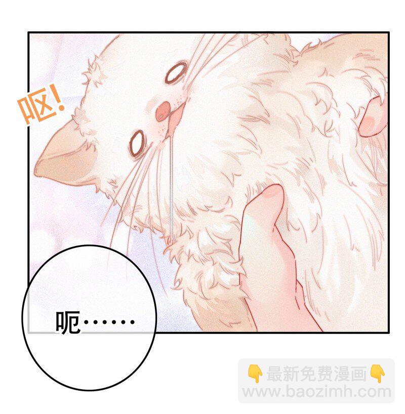 060 你喂吐我的猫了-第60话