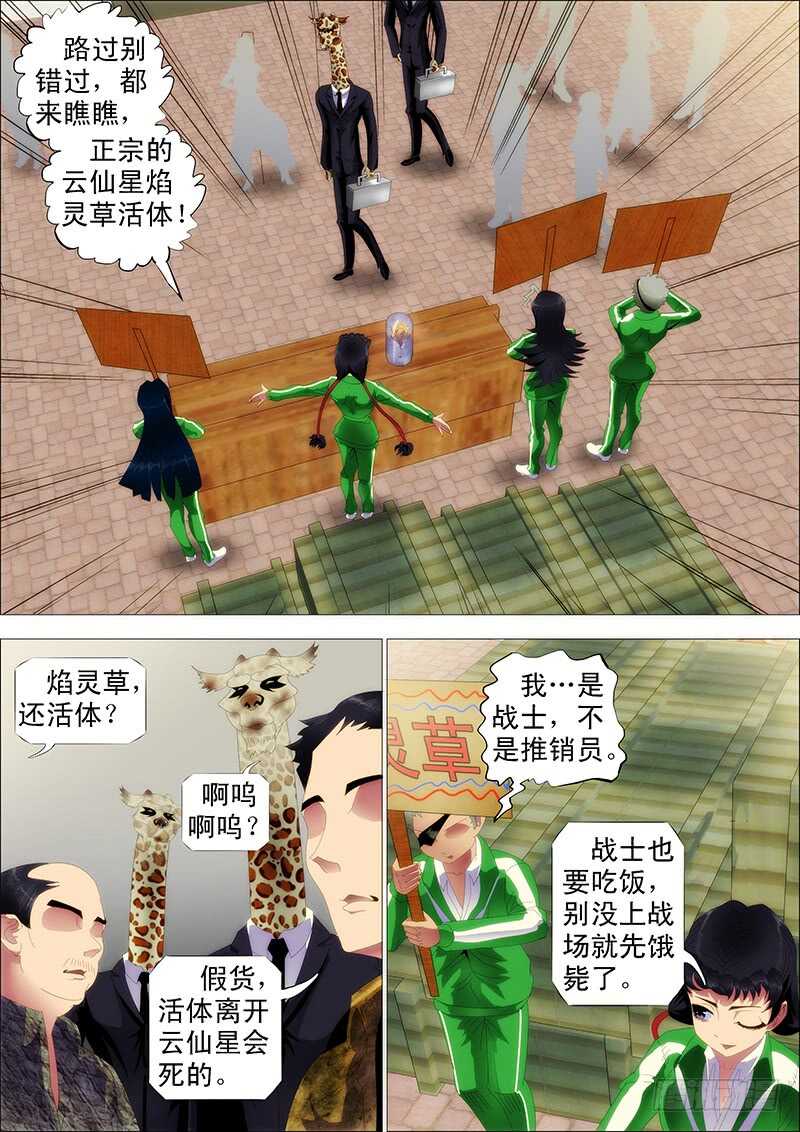 🍣铁姬钢兵 掉毛金乌不如鸡 第1页