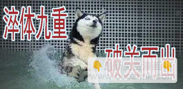 🍣铁姬钢兵 掉毛金乌不如鸡 第13页
