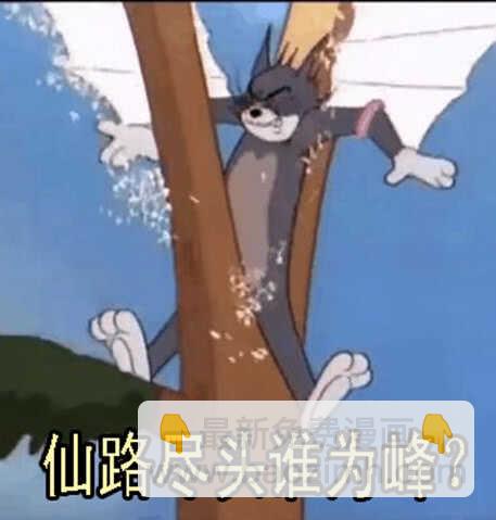 🍣铁姬钢兵 发出定远般的狞笑 第16页