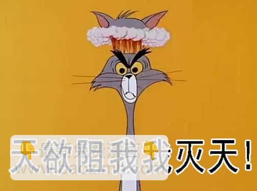 🍣铁姬钢兵 社会神 第16页