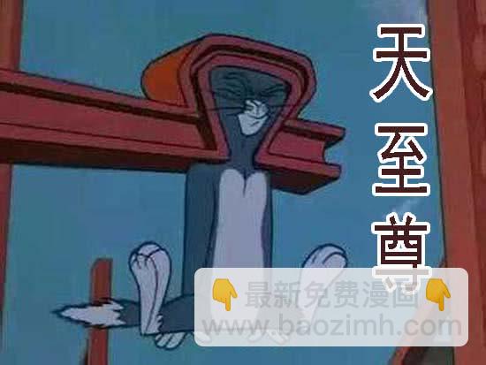 🍣铁姬钢兵 近战法师 第15页