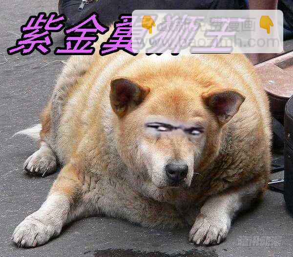 🍣铁姬钢兵 不该出手不出手 第16页
